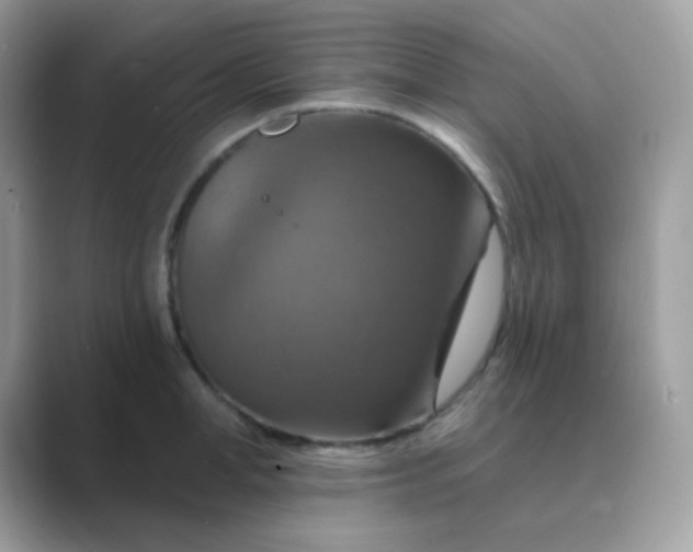 X0000089720998200707051716