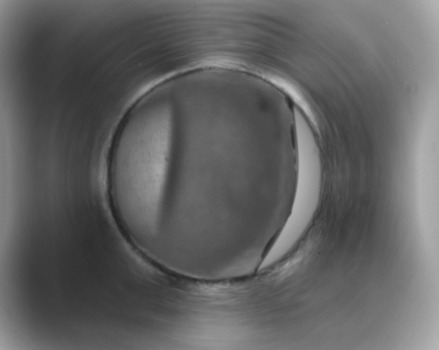 X0000089720999200707051716