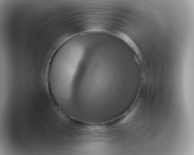 X0000089721002200707051716