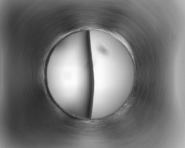 X0000089721005200707051716