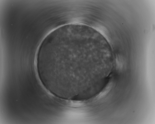 X0000089721007200707051716