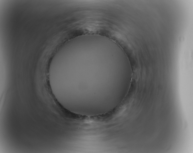 X0000089721009200707051716