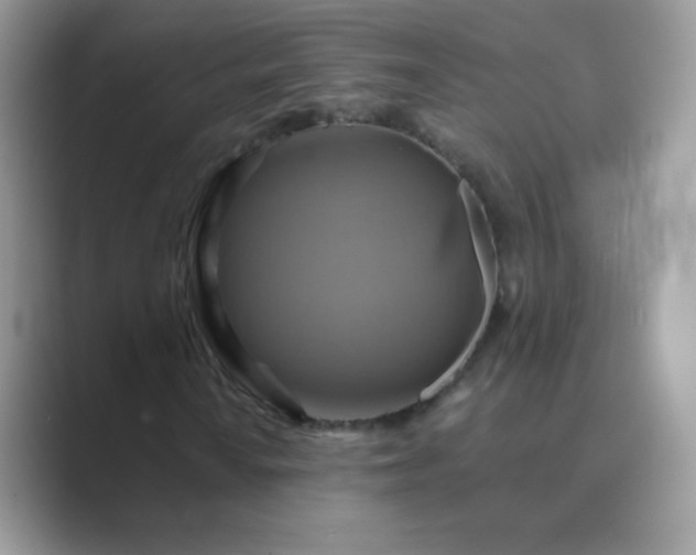X0000089721010200707051716