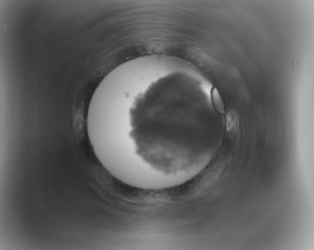 X0000089721011200707051716