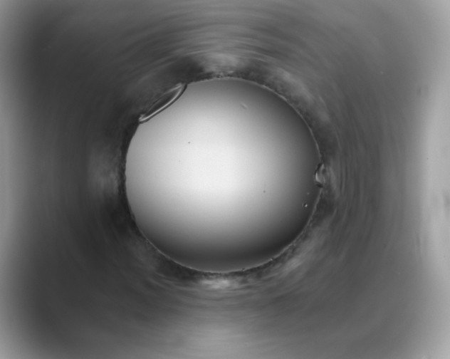 X0000089721012200707051716