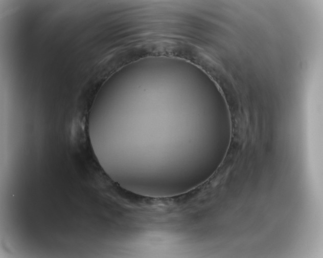 X0000089721013200707051716
