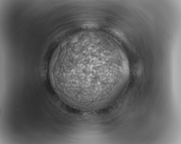 X0000089721015200707051716