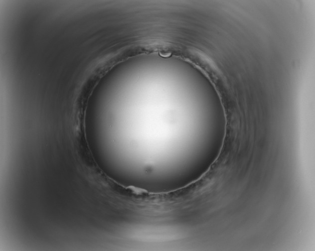 X0000089721016200707051716