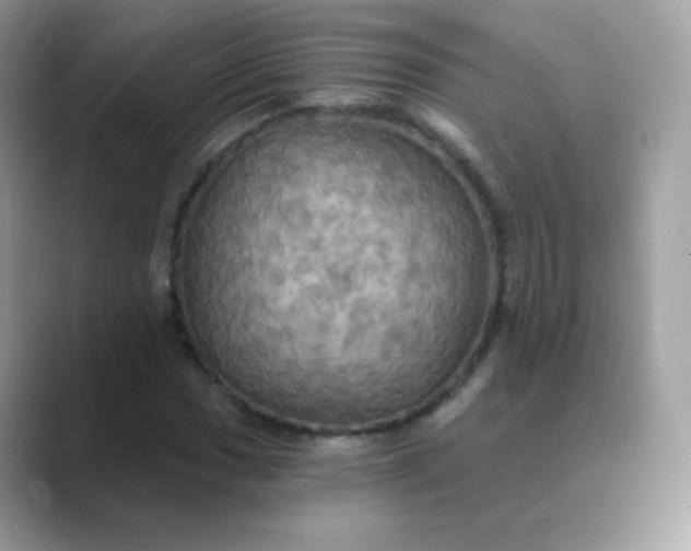 X0000089721017200707051716