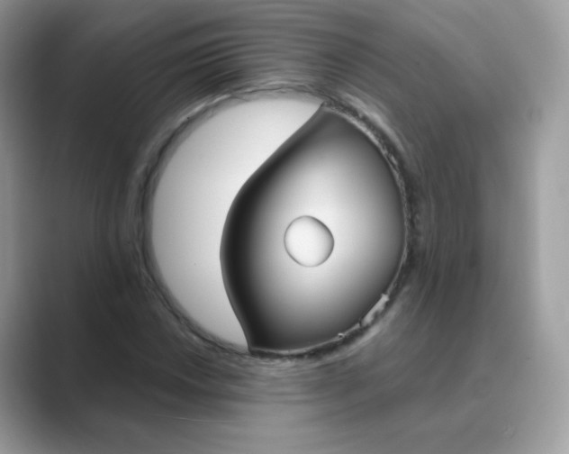 X0000089721018200707051716
