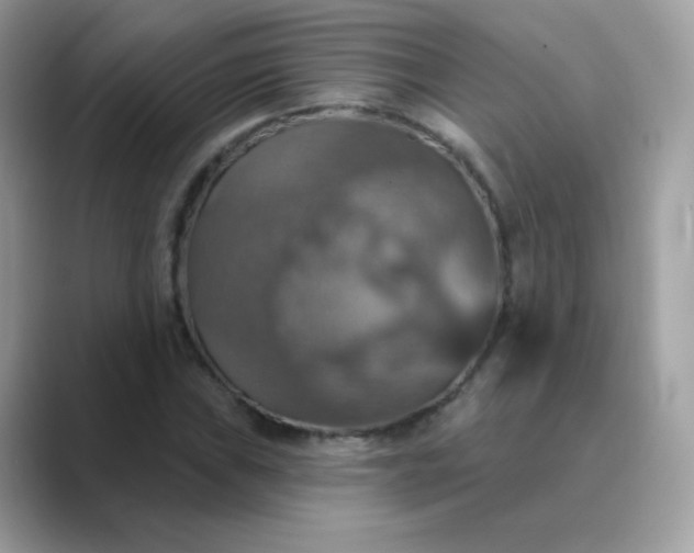 X0000089721019200707051716