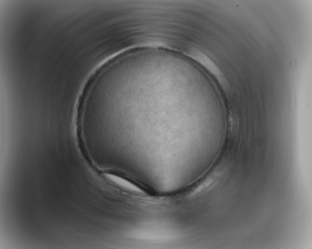 X0000089721020200707051716