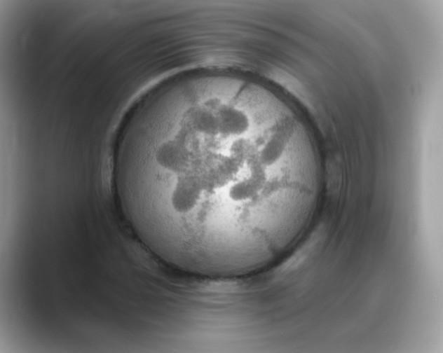 X0000089721021200707051716