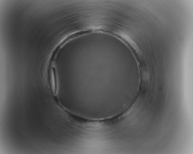 X0000089721023200707051716