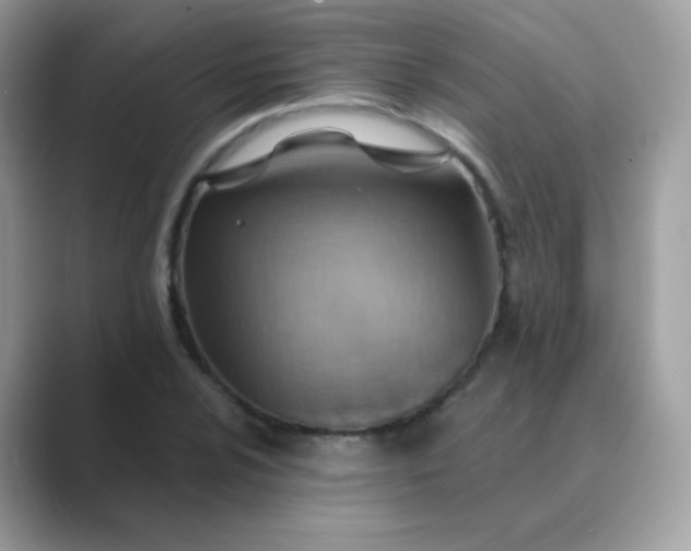 X0000089721024200707051716
