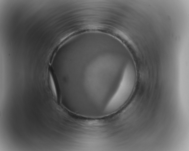 X0000089721025200707051716