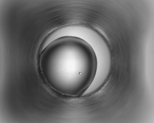 X0000089721026200707051716