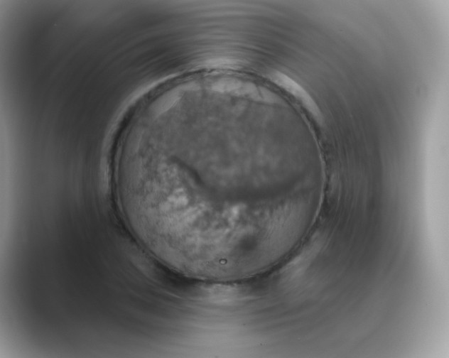 X0000089721027200707051716