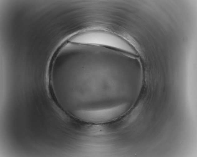 X0000089721028200707051716