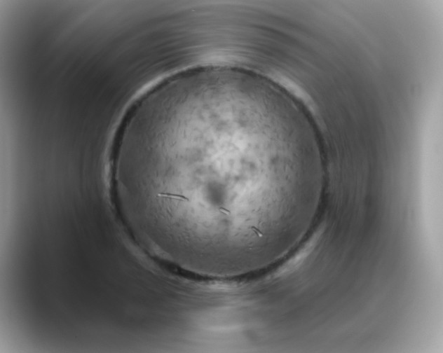 X0000089721029200707051716