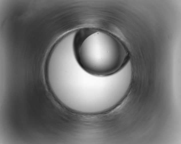 X0000089721030200707051716