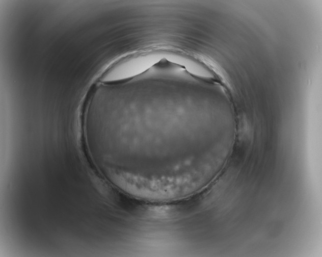 X0000089721031200707051716