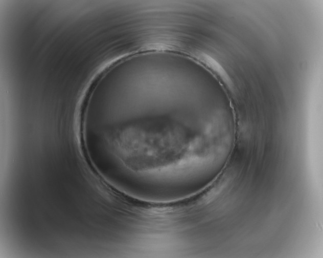 X0000089721035200707051716