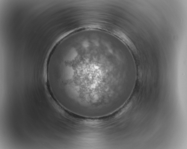 X0000089721036200707051716