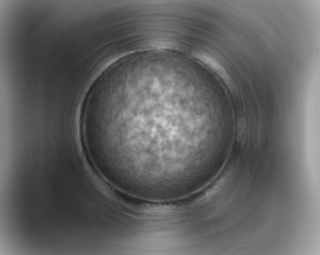 X0000089721039200707051716