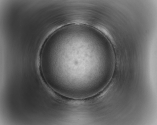 X0000089721040200707051716