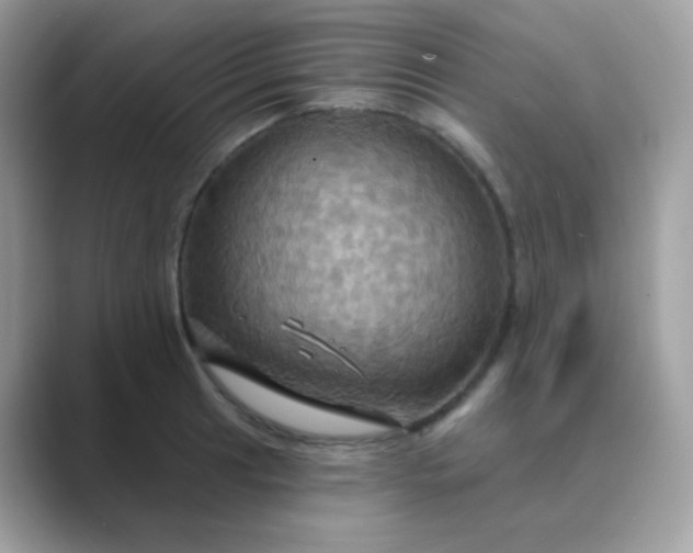 X0000089721041200707051716