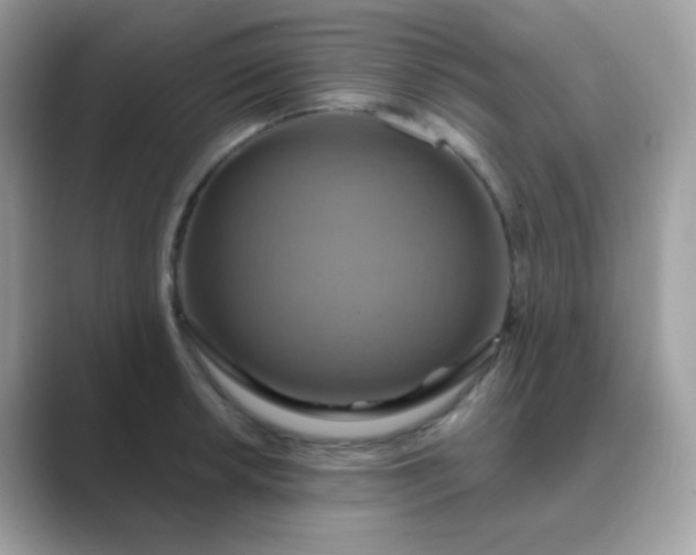 X0000089721042200707051716