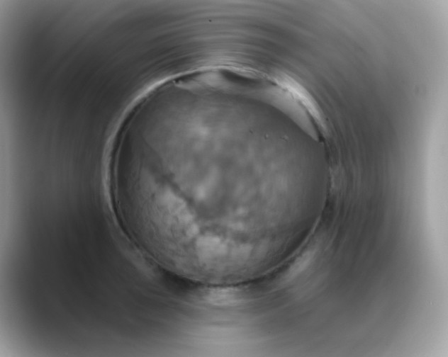 X0000089721043200707051716