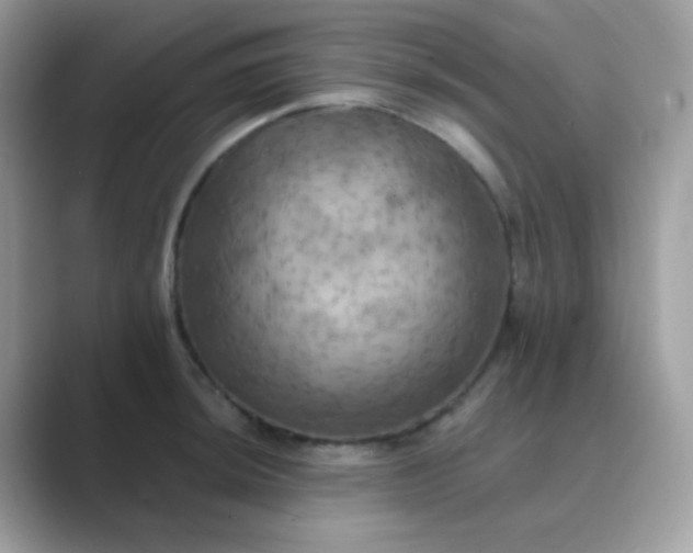 X0000089721044200707051716