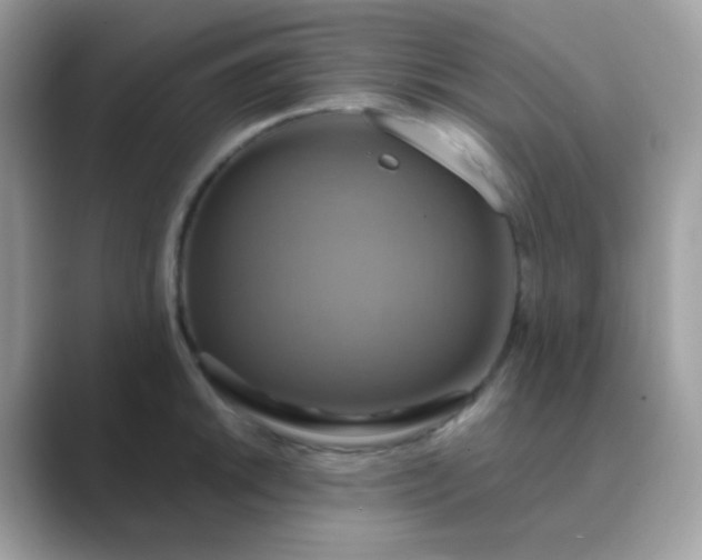 X0000089721046200707051716