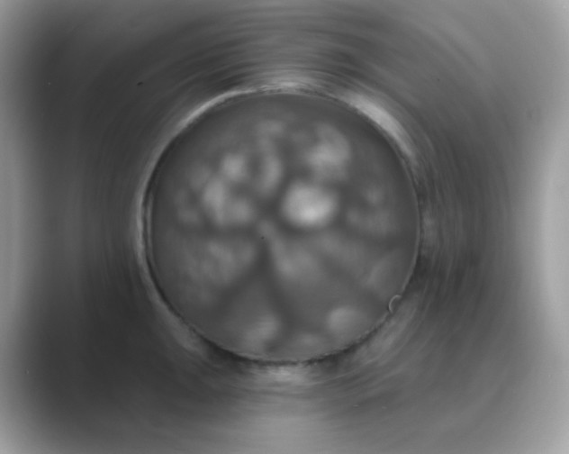 X0000089721047200707051716