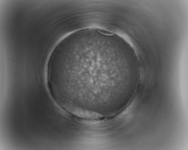 X0000089721048200707051716