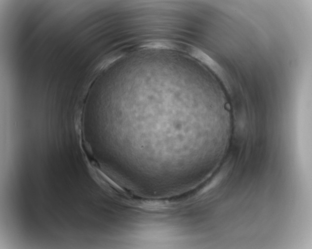 X0000089721049200707051716