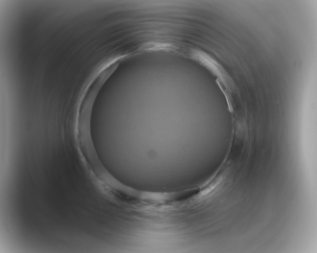 X0000089721050200707051716