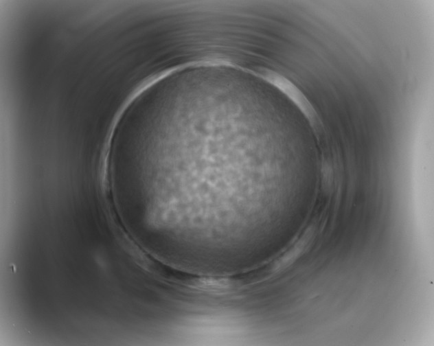 X0000089721052200707051716