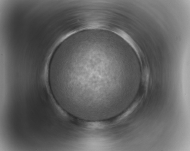 X0000089721053200707051716