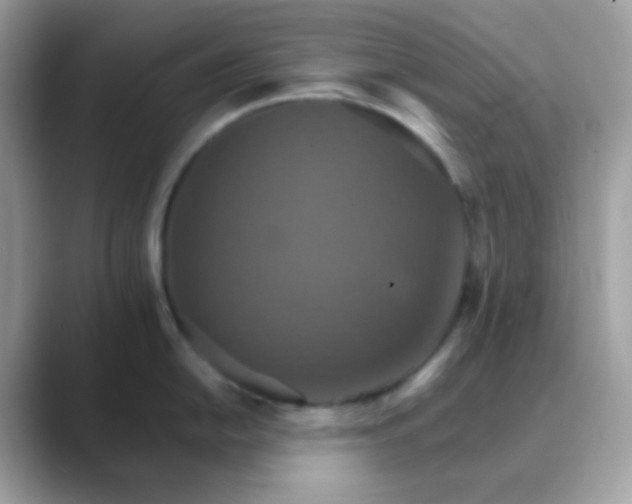 X0000089721054200707051716