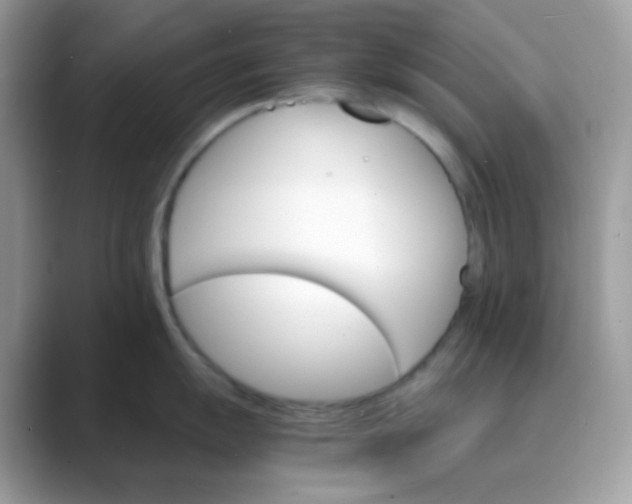 X0000089721055200707051716