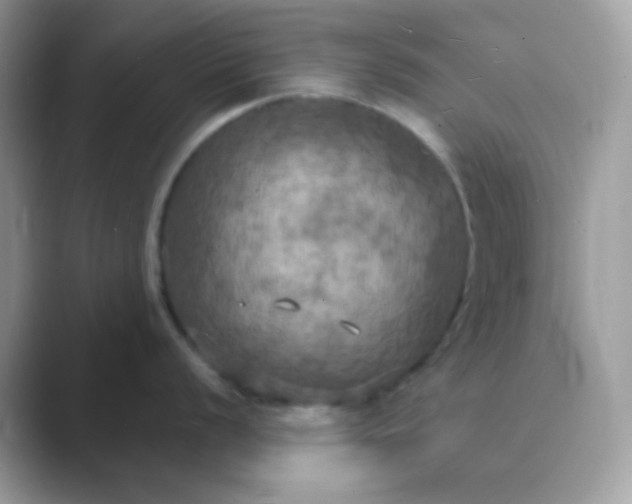 X0000089721056200707051716