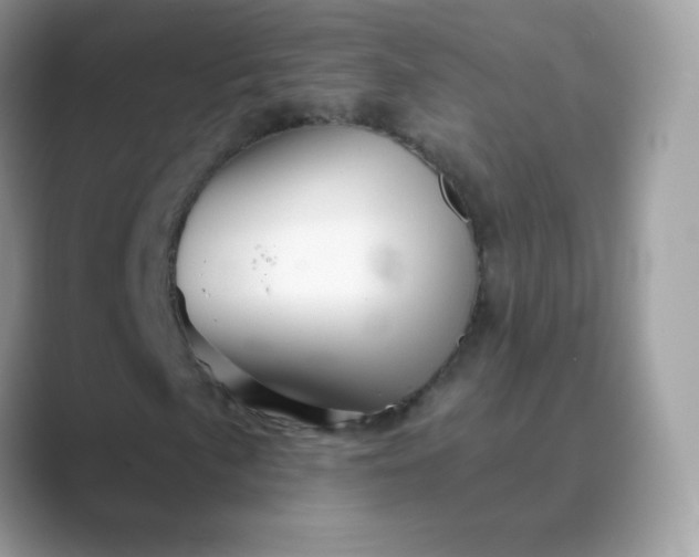 X0000089721057200707051716