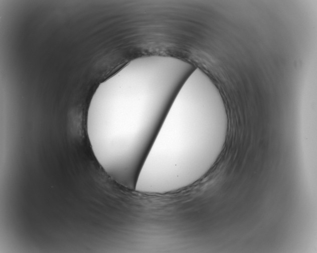 X0000089721060200707051715
