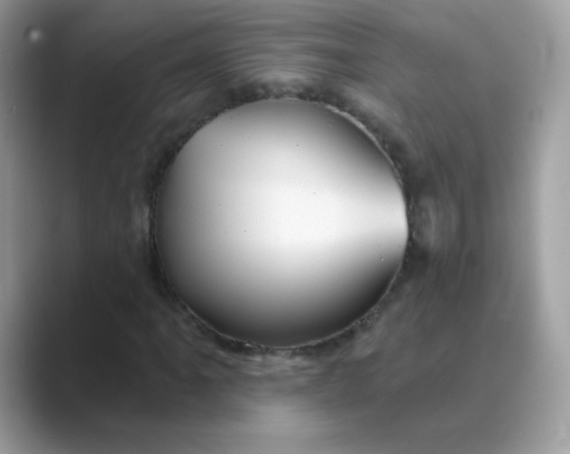 X0000089721061200707051715