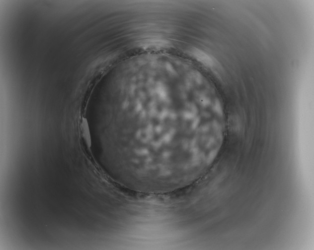 X0000089721063200707051715