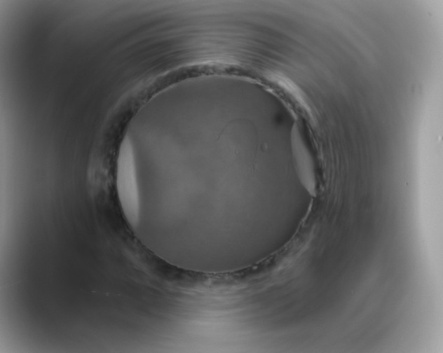 X0000089721064200707051715