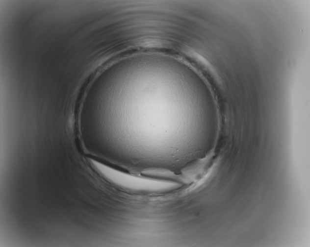 X0000089721065200707051715